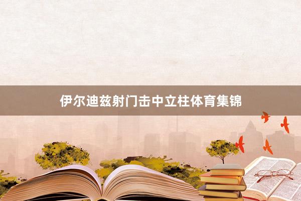 伊尔迪兹射门击中立柱体育集锦