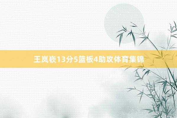 王岚嵚13分5篮板4助攻体育集锦