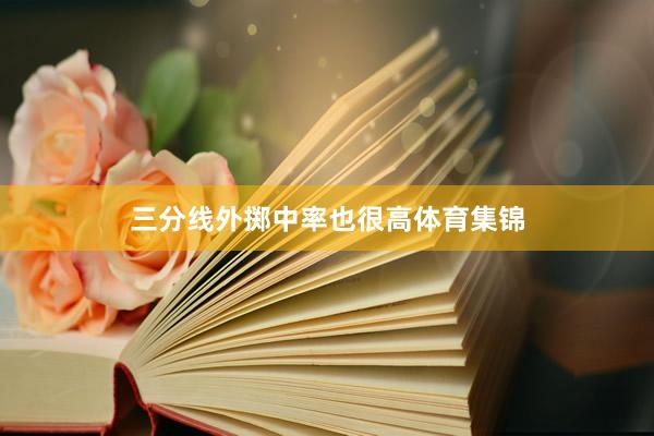三分线外掷中率也很高体育集锦