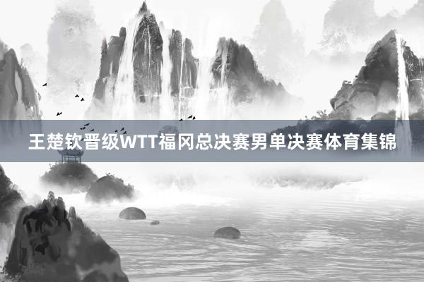 王楚钦晋级WTT福冈总决赛男单决赛体育集锦