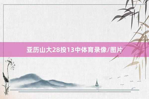 亚历山大28投13中体育录像/图片