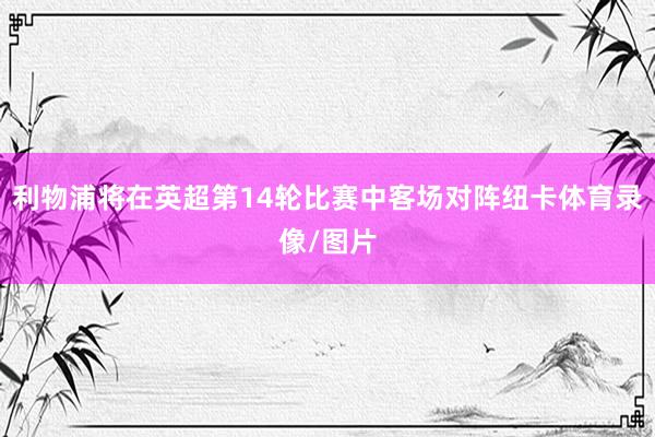 利物浦将在英超第14轮比赛中客场对阵纽卡体育录像/图片