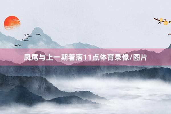 凤尾与上一期着落11点体育录像/图片