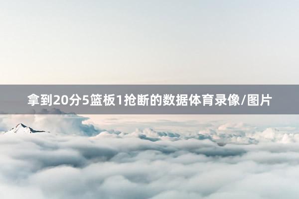 拿到20分5篮板1抢断的数据体育录像/图片