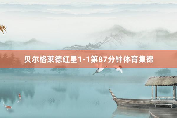 贝尔格莱德红星1-1第87分钟体育集锦