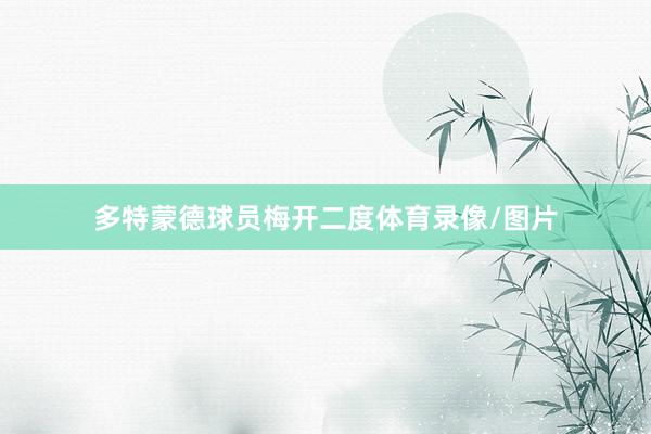 多特蒙德球员梅开二度体育录像/图片