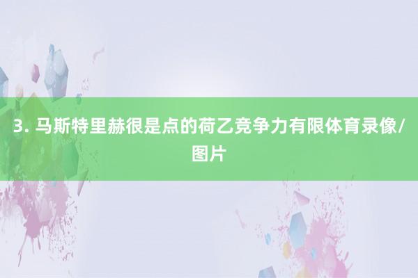 3. 马斯特里赫很是点的荷乙竞争力有限体育录像/图片