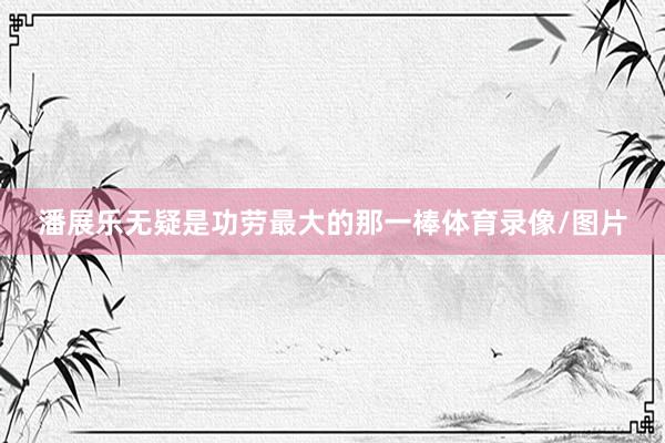 潘展乐无疑是功劳最大的那一棒体育录像/图片