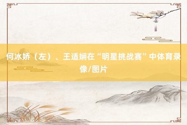 何冰娇（左）、王适娴在“明星挑战赛”中体育录像/图片