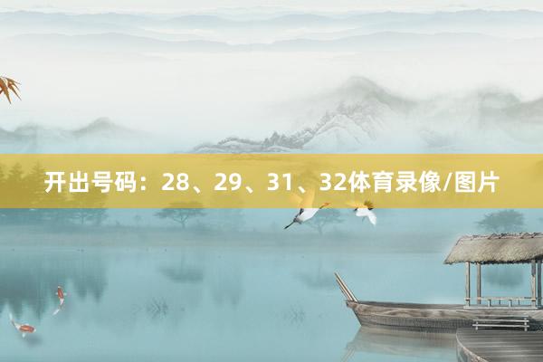开出号码：28、29、31、32体育录像/图片