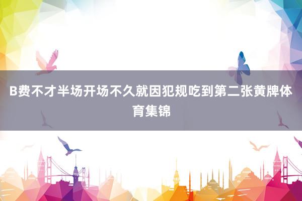 B费不才半场开场不久就因犯规吃到第二张黄牌体育集锦