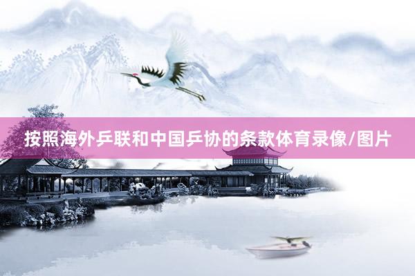 按照海外乒联和中国乒协的条款体育录像/图片
