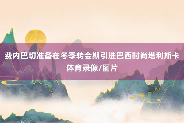 费内巴切准备在冬季转会期引进巴西时尚塔利斯卡体育录像/图片
