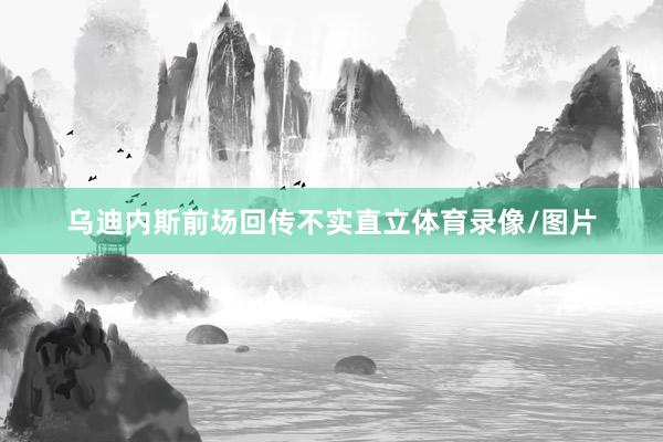 乌迪内斯前场回传不实直立体育录像/图片