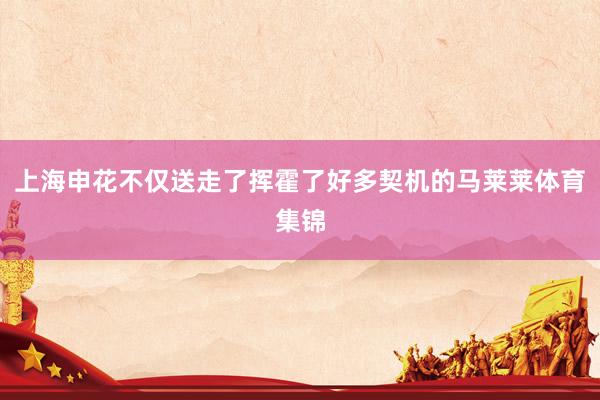 上海申花不仅送走了挥霍了好多契机的马莱莱体育集锦