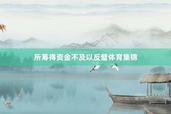 所筹得资金不及以反璧体育集锦