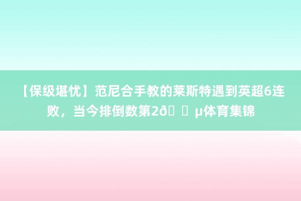 【保级堪忧】范尼合手教的莱斯特遇到英超6连败，当今排倒数第2😵体育集锦