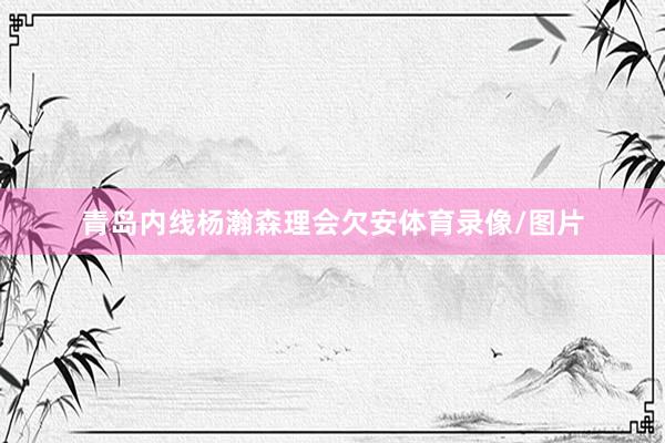 青岛内线杨瀚森理会欠安体育录像/图片