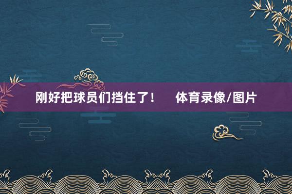 刚好把球员们挡住了！    体育录像/图片