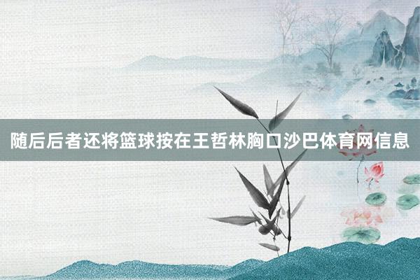 随后后者还将篮球按在王哲林胸口沙巴体育网信息