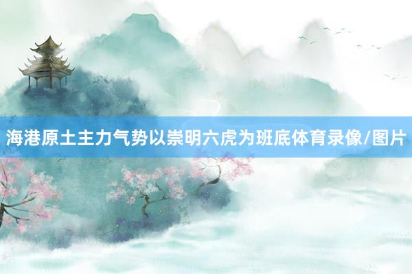 海港原土主力气势以崇明六虎为班底体育录像/图片
