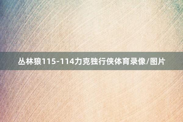 丛林狼115-114力克独行侠体育录像/图片