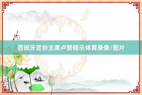 西班牙足协主席卢赞暗示体育录像/图片