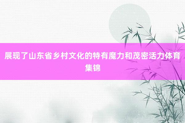 展现了山东省乡村文化的特有魔力和茂密活力体育集锦