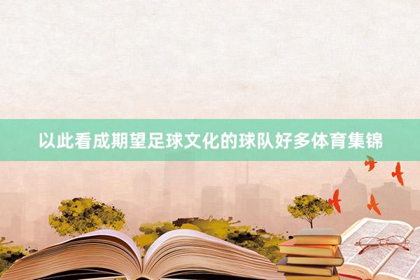 以此看成期望足球文化的球队好多体育集锦