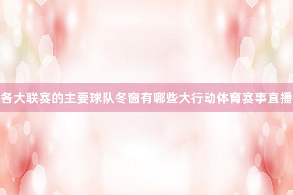 各大联赛的主要球队冬窗有哪些大行动体育赛事直播