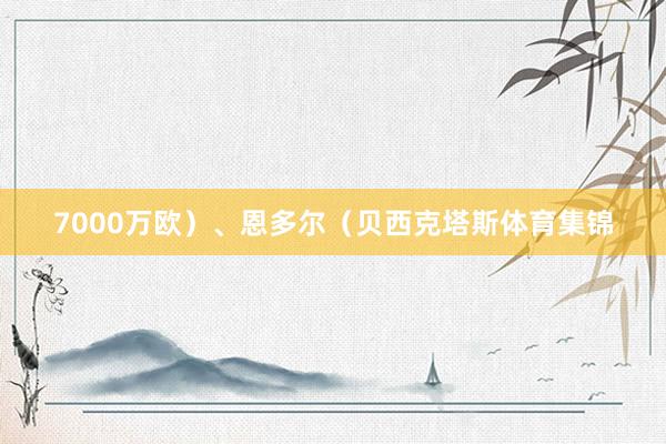 7000万欧）、恩多尔（贝西克塔斯体育集锦