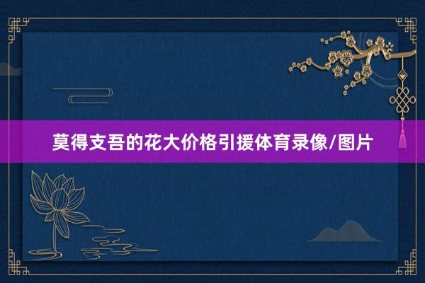 莫得支吾的花大价格引援体育录像/图片