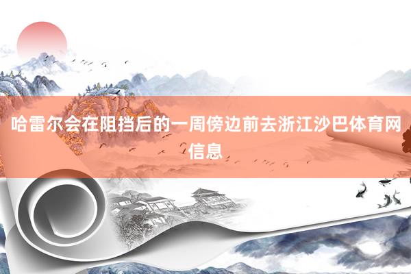哈雷尔会在阻挡后的一周傍边前去浙江沙巴体育网信息