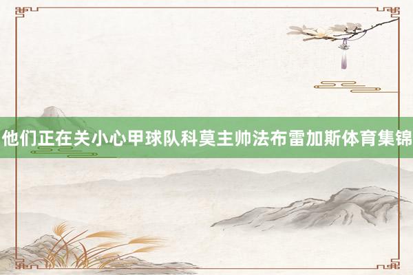 他们正在关小心甲球队科莫主帅法布雷加斯体育集锦