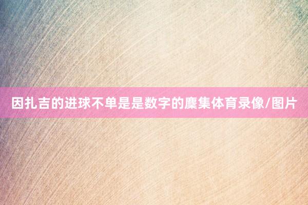 因扎吉的进球不单是是数字的麇集体育录像/图片