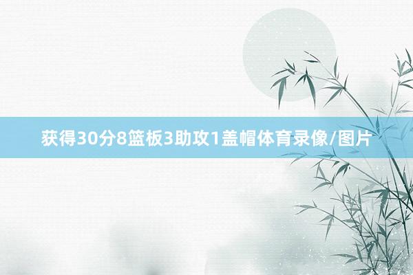 获得30分8篮板3助攻1盖帽体育录像/图片