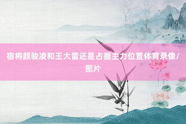 宿将颜骏凌和王大雷还是占据主力位置体育录像/图片