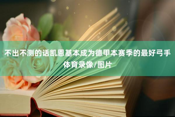 不出不测的话凯恩基本成为德甲本赛季的最好弓手体育录像/图片