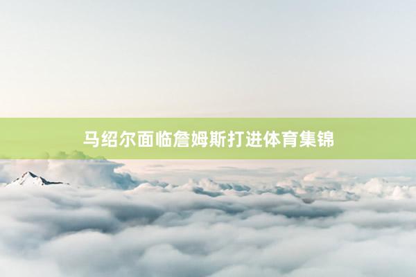 马绍尔面临詹姆斯打进体育集锦
