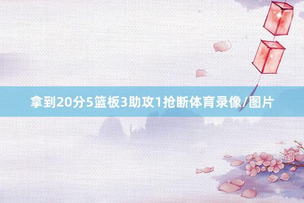 拿到20分5篮板3助攻1抢断体育录像/图片