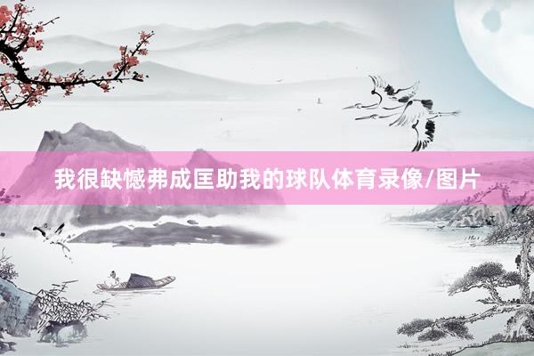 我很缺憾弗成匡助我的球队体育录像/图片