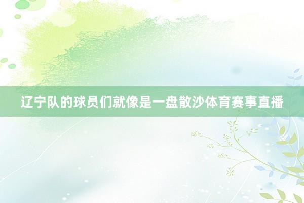 辽宁队的球员们就像是一盘散沙体育赛事直播