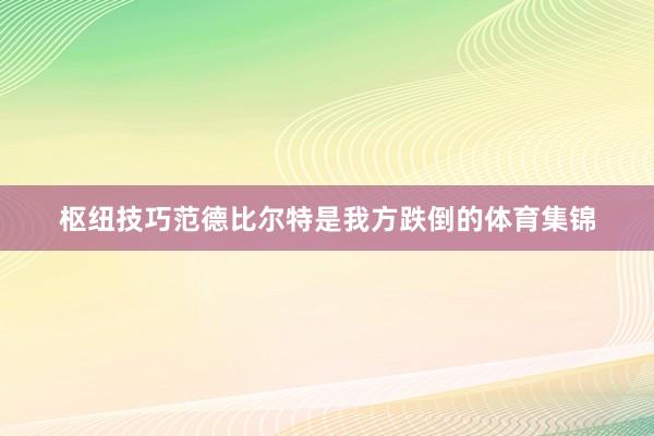 枢纽技巧范德比尔特是我方跌倒的体育集锦