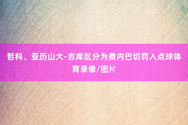 哲科、亚历山大-吉库区分为费内巴切罚入点球体育录像/图片
