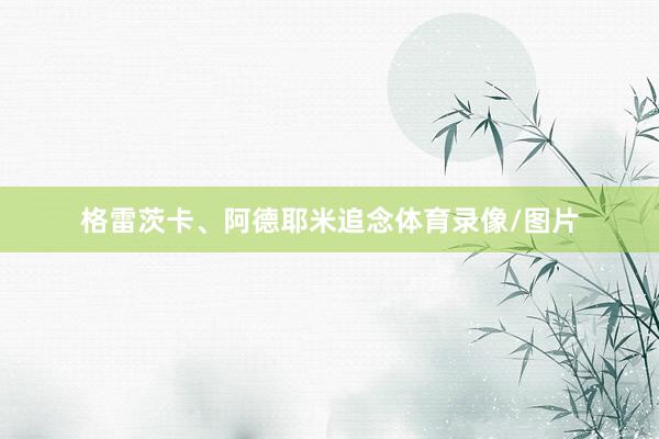 格雷茨卡、阿德耶米追念体育录像/图片