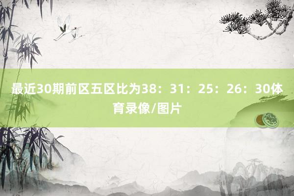最近30期前区五区比为38：31：25：26：30体育录像/图片