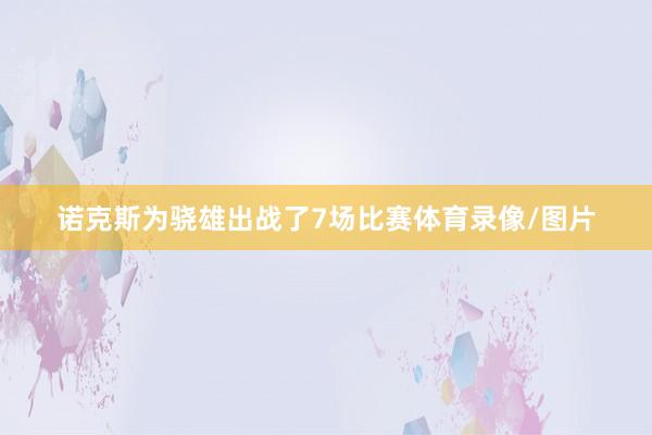 诺克斯为骁雄出战了7场比赛体育录像/图片