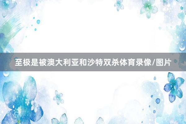至极是被澳大利亚和沙特双杀体育录像/图片