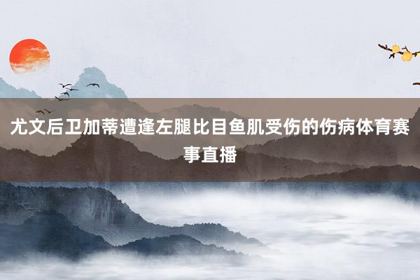 尤文后卫加蒂遭逢左腿比目鱼肌受伤的伤病体育赛事直播