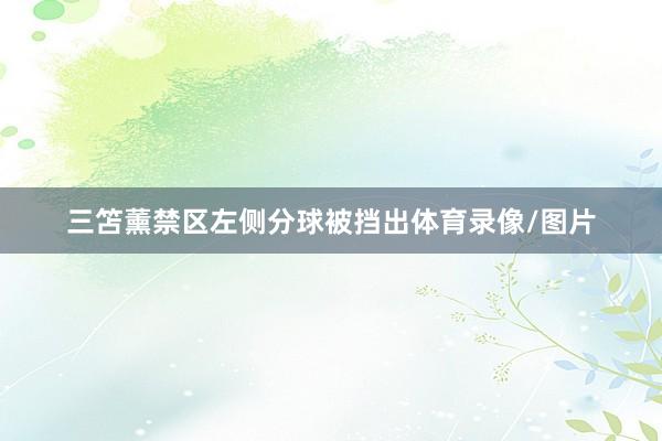 三笘薰禁区左侧分球被挡出体育录像/图片
